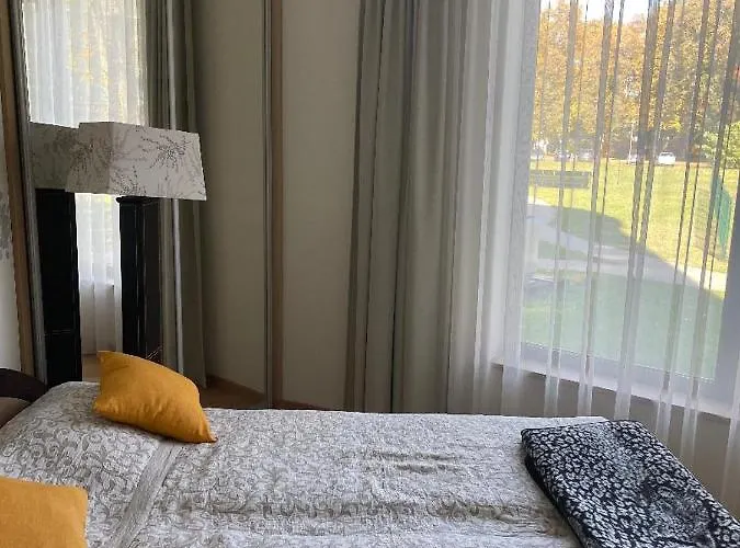 Lejlighed Vita Apartment Druskininkai